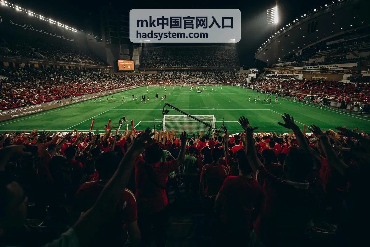 mk中国官网入口核验要点与操作说明配图