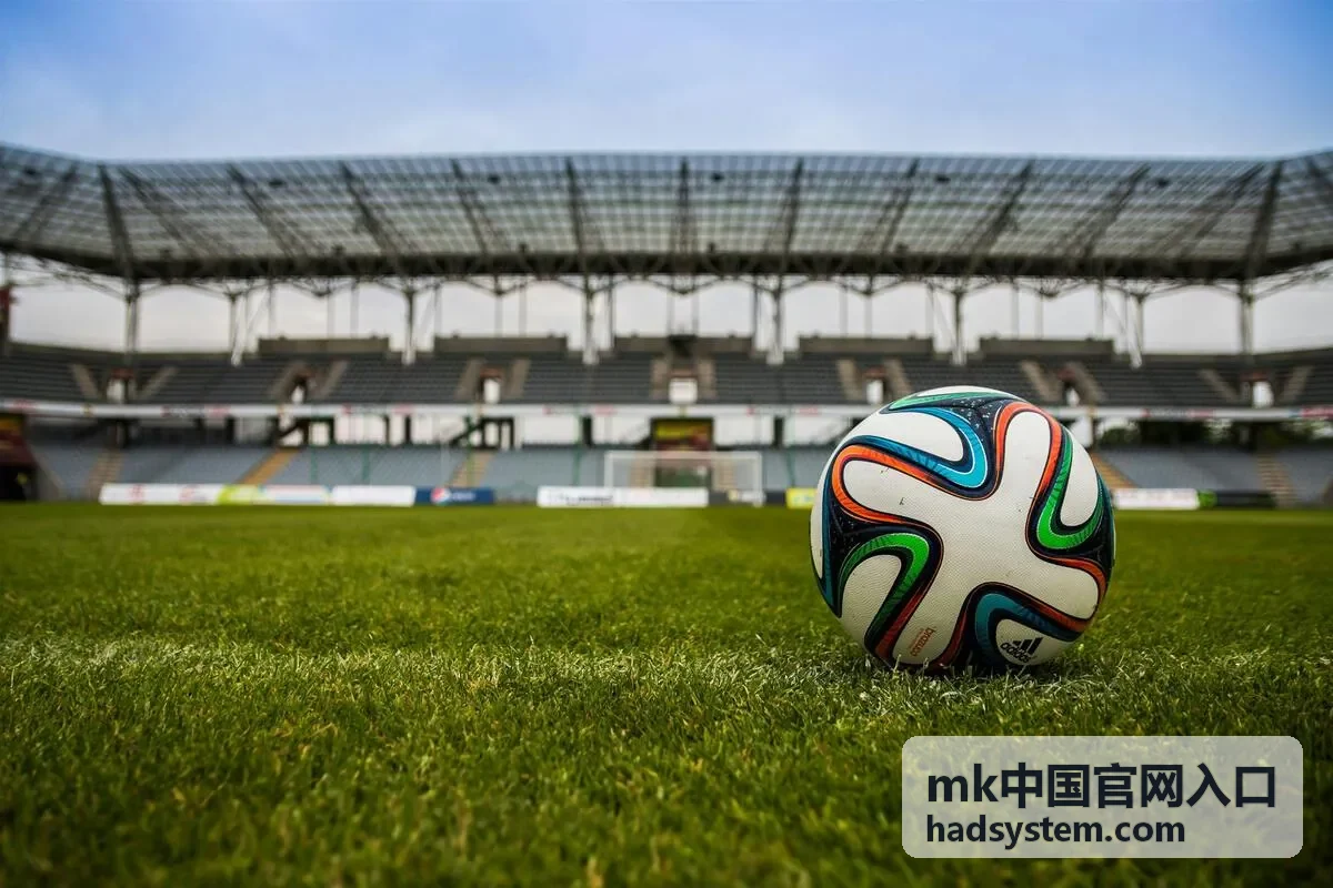 mk中国官网入口操作步骤指引配图
